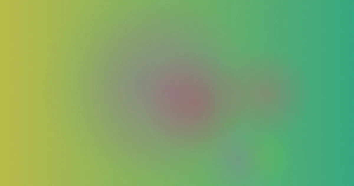 韩国女邻居推荐：新手指南